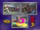 WCW World War III (1996) - 3-Ring Battle Royal