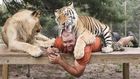 Big Cat Enthusiast Owns Six Tiger And Two Lions