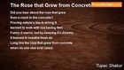 Tupac Shakur - The Rose that Grew from Concrete