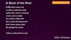 Allen Ginsberg - In Back of the Real