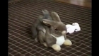 [+18 ~ Sexy Funny Girl]Bunny Humping Stuffed Bunny