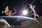 Russian Space Agency Regains Control Of Gecko Sex Satellite After Three Day Loss Of Contact!