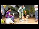 Tommy Telugu Movie Theatrical Trailer | Rajendra Prasad | Raja Vannemreddy | Chakri