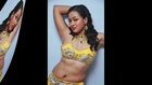 Item Girl Sneha Hot Photos _ Tamil _ Telugu _ Malayalam _ Latest Hot Navel Show