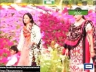 Dunya News - Bahawalpur: Spring festival continue in Noor Mehal