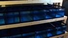HOW TO: Build a Multiple Aquarium Rack