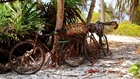Muzyka Relaksacyjna - Plaże Zanzibaru