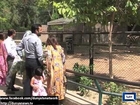 Dunya News - Children delighted to see  Zebra's new born baby in Lahore Zoo