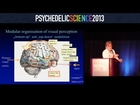 Neurobiology of Psychedelics: Implication for Mood Disorders - Franz Vollenweider